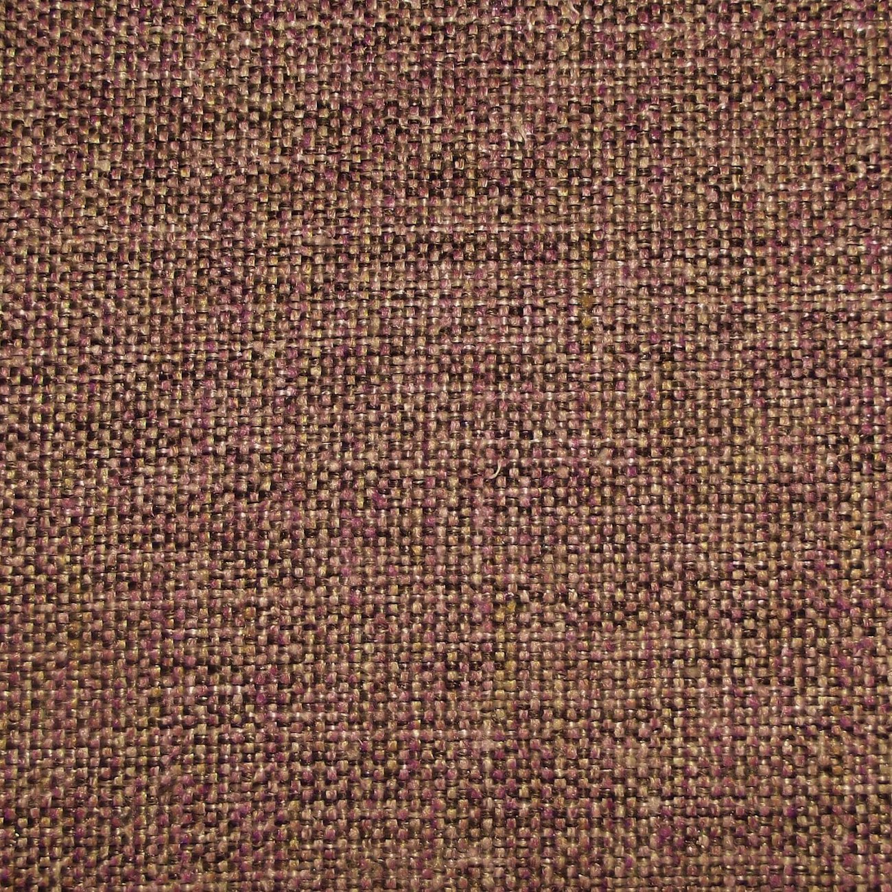 Amble Lavender