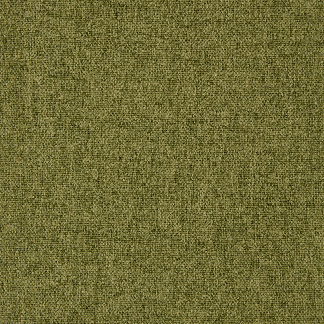 EB Meridian Kiwi large